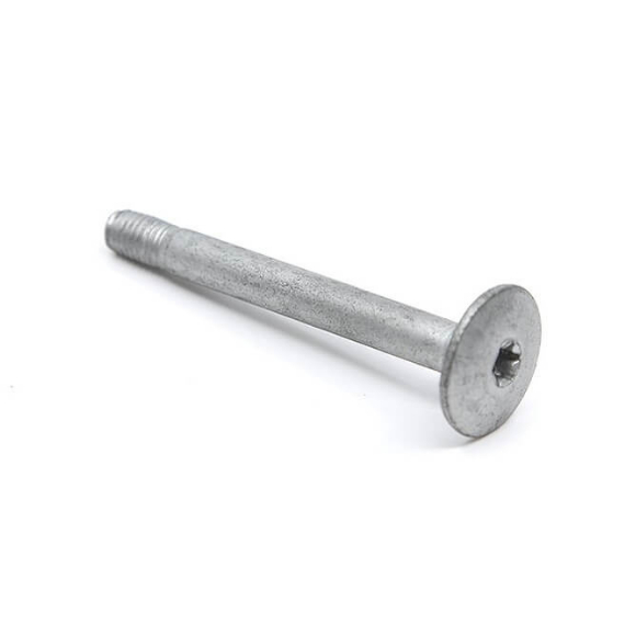 Torx Head Bolt