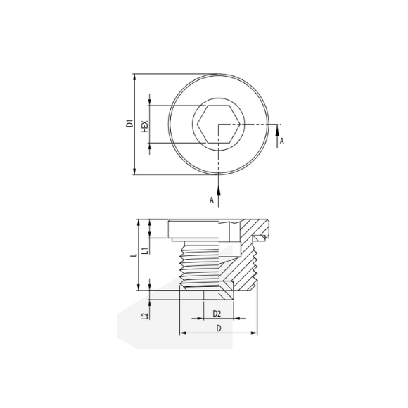 Magnetic Plug